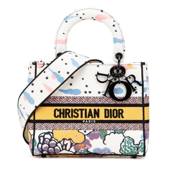 Pre-owned Dior Medium Canvas Embroidered Ciel De Reve Lady D Lite White