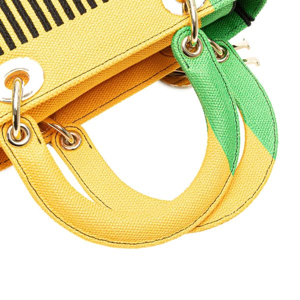 Pre-owned Dior Medium Canvas Embroidered Flower Pop Lady D Lite Yellow