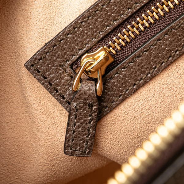 Pre-owned Gucci Medium GG Supreme Ophidia Web Satchel Brown