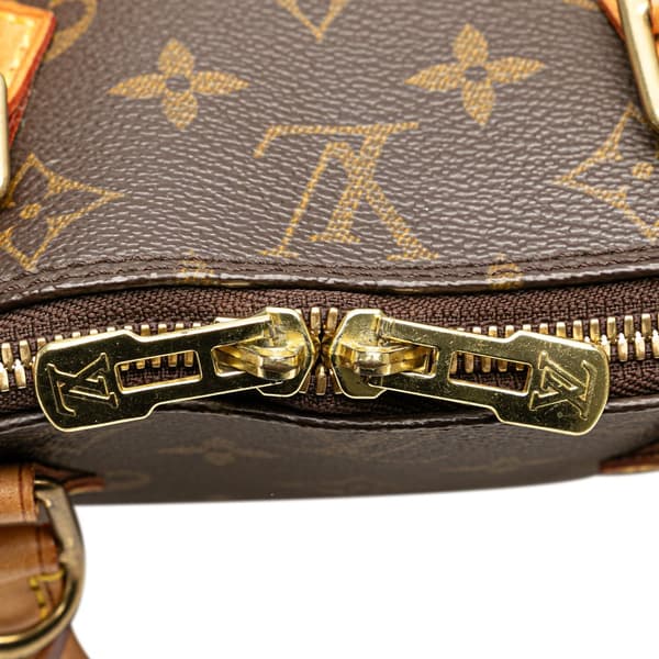 Pre-owned Louis Vuitton Monogram Alma PM Brown