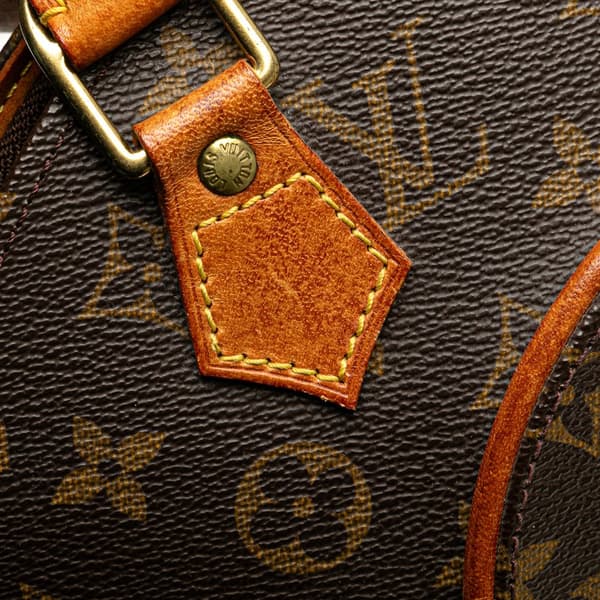 Pre-owned Louis Vuitton Monogram Ellipse PM Brown
