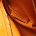 Miniatyrbild 5 av 9: Pre-owned Louis Vuitton Grained Smooth Calfskin Rose Des Vents PM Orange