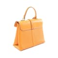 Miniatyrbild 2 av 9: Pre-owned Louis Vuitton Grained Smooth Calfskin Rose Des Vents PM Orange