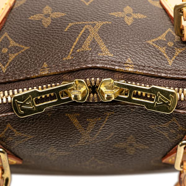 Pre-owned Louis Vuitton Monogram Alma PM Brown