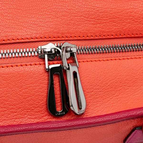 Pre-owned LOEWE Tricolor Leather Amazona 36 Orange