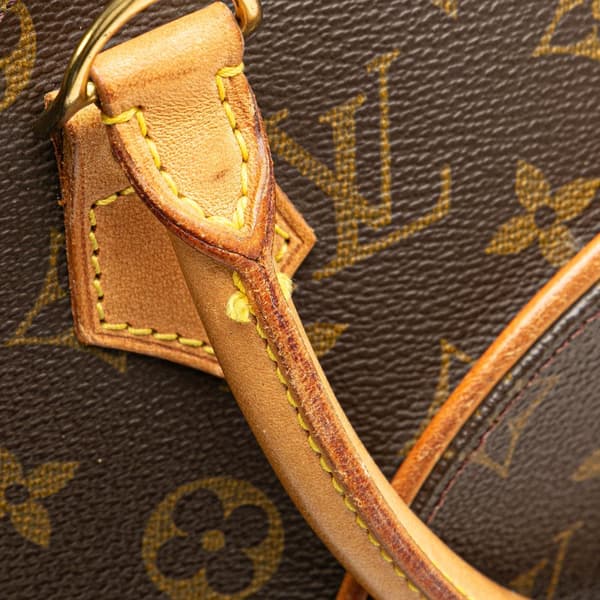 Pre-owned Louis Vuitton Monogram Ellipse MM Brown