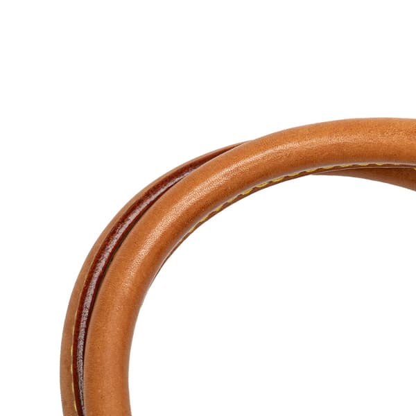 Pre-owned Louis Vuitton Monogram Ellipse PM Brown