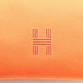 Miniatyrbillede 5 af 10: Pre-owned Hermès Small Toile Bride A Brac Orange