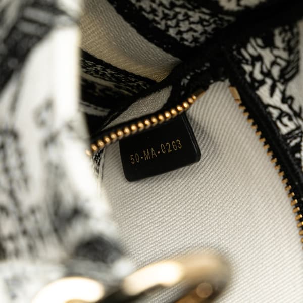 Pre-owned Dior Mini Embroidered Canvas Plan de Paris Lady D Lite White