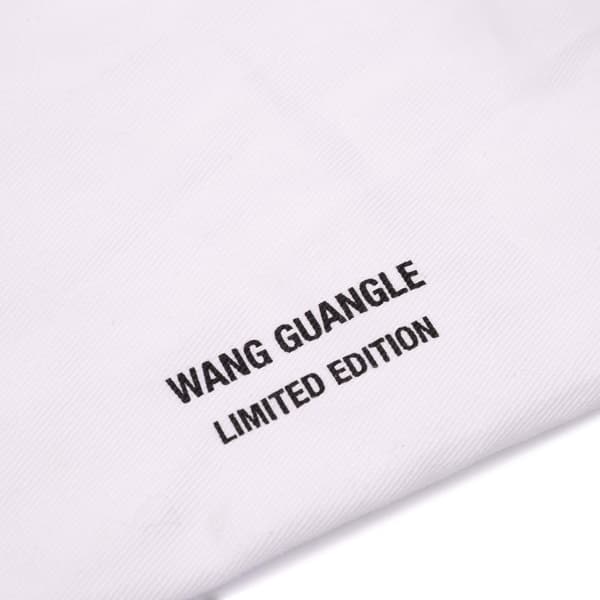 Pre-owned Dior Wang Guangle Mini PVC Technical Fabric Lady Dior White