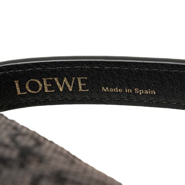 Pre-owned LOEWE Small Anagram Canvas Cubi Bag Brown