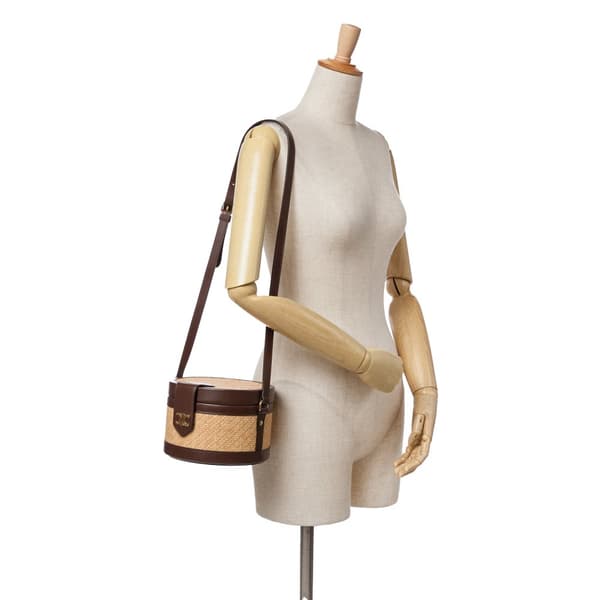 Pre-owned Celine Medium Raffia and Calfskin Triomphe Tambour Vanity Bag Brown