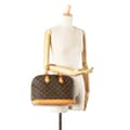 Miniatyrbilde 10 av 10: Pre-owned Louis Vuitton Monogram Alma PM Brown