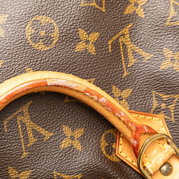 Pre-owned Louis Vuitton Monogram Alma PM Brown