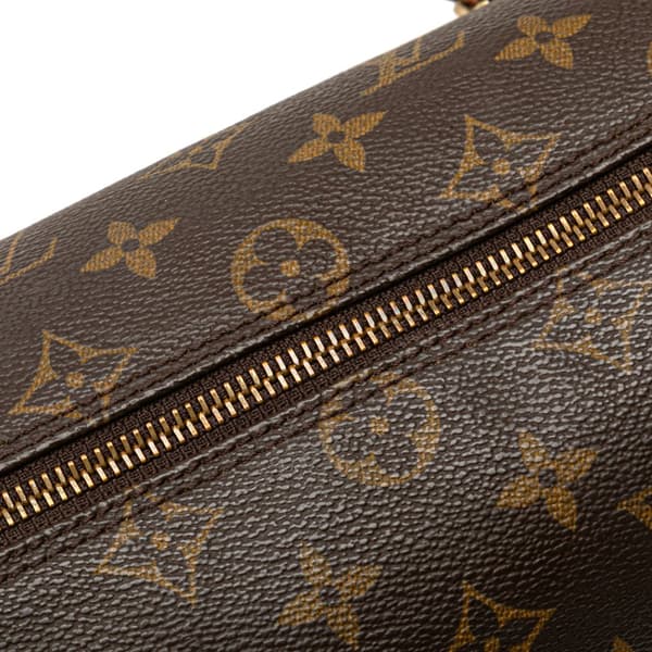 Pre-owned Louis Vuitton Monogram Papillon 26 Brown