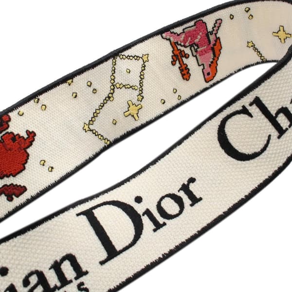Pre-owned Dior Medium Embroidered Canvas Pixel Zodiac Lady D Lite White