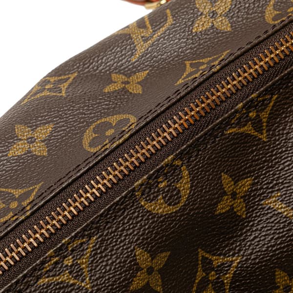 Pre-owned Louis Vuitton Monogram Papillon 26 Brown
