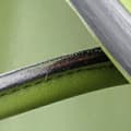 Miniatyrbild 8 av 10: Pre-owned Hermès Swift Birkin Retourne 35 Green