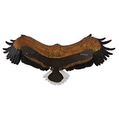 Design Toscano Väggskulptur av den amerikanska örnen Frihetens stolthet Flerfärgad 21,5 x 78,5 x 30,5 cm - DB43006