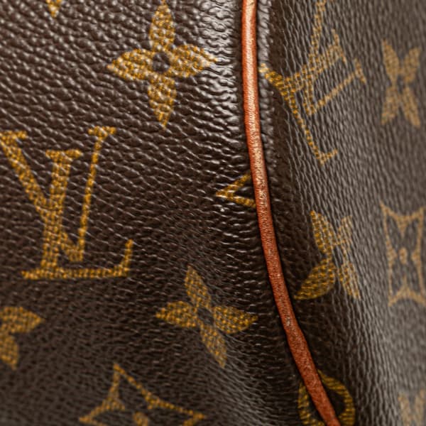 Pre-owned Louis Vuitton Monogram Papillon 30 Brown