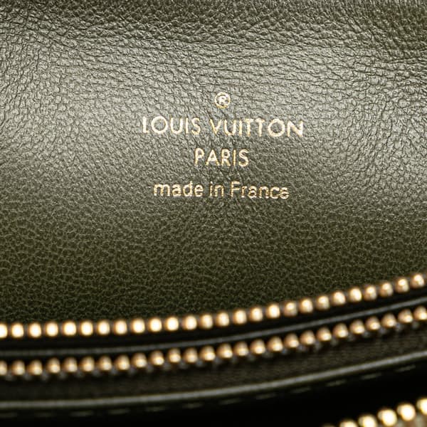 Pre-owned Louis Vuitton Monogram Embossed Puffy Lambskin Coussin MM Brown