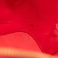 Miniatyrbilde 10 av 10: Pre-owned Louis Vuitton Monogram Vernis Alma BB Red