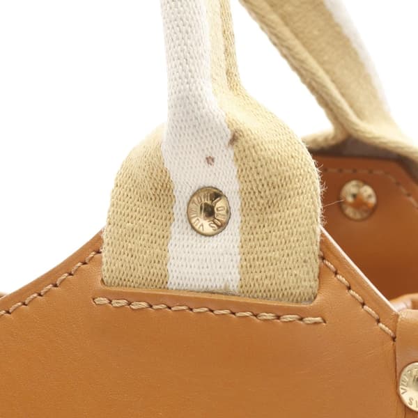 Pre-owned Louis Vuitton Monogram Mini Lin Kathleen Brown