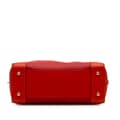 Pikkukuva 3 / 10: Pre-owned LOEWE Limited Edition Tricolor Leather Amazona 36 Red
