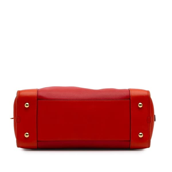 Pre-owned LOEWE Limited Edition Tricolor Leather Amazona 36 Red