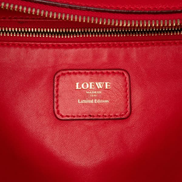 Pre-owned LOEWE Limited Edition Tricolor Leather Amazona 36 Red