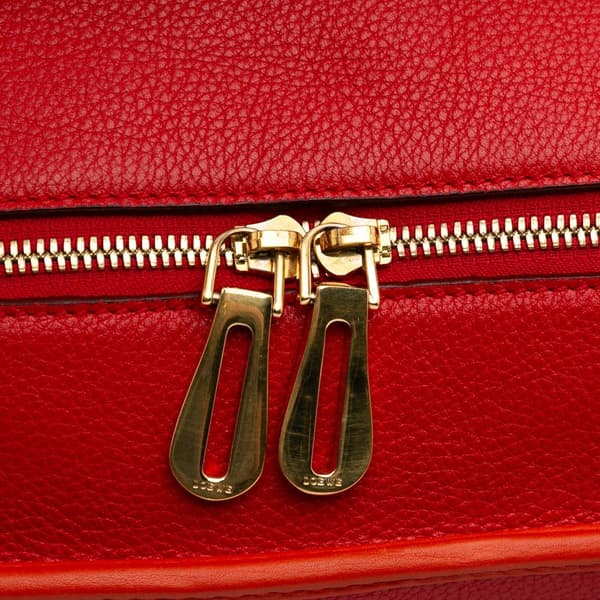 Pre-owned LOEWE Limited Edition Tricolor Leather Amazona 36 Red