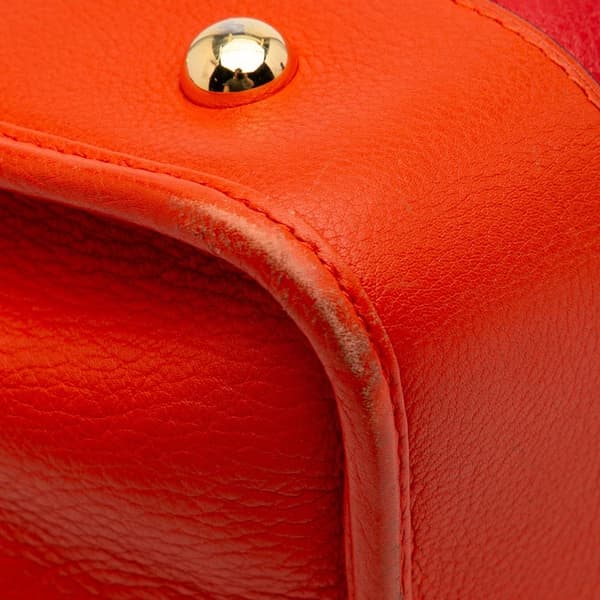 Pre-owned LOEWE Limited Edition Tricolor Leather Amazona 36 Red