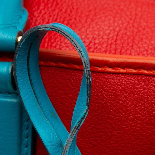Pre-owned LOEWE Limited Edition Tricolor Leather Amazona 36 Red