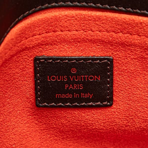 Pre-owned Louis Vuitton Damier Sauvage Lionne Brown