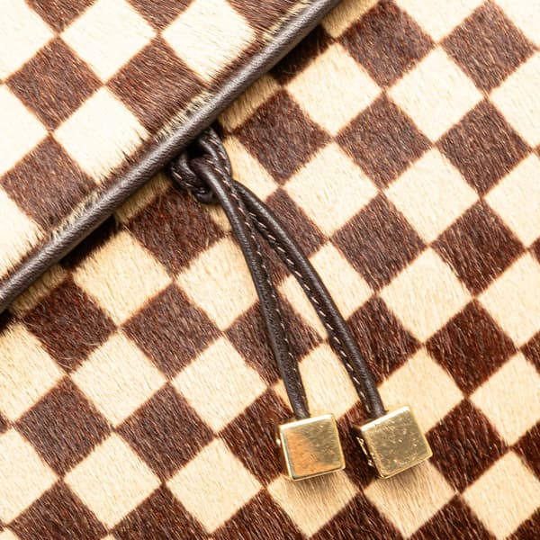 Pre-owned Louis Vuitton Damier Sauvage Lionne Brown