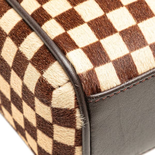 Pre-owned Louis Vuitton Damier Sauvage Lionne Brown