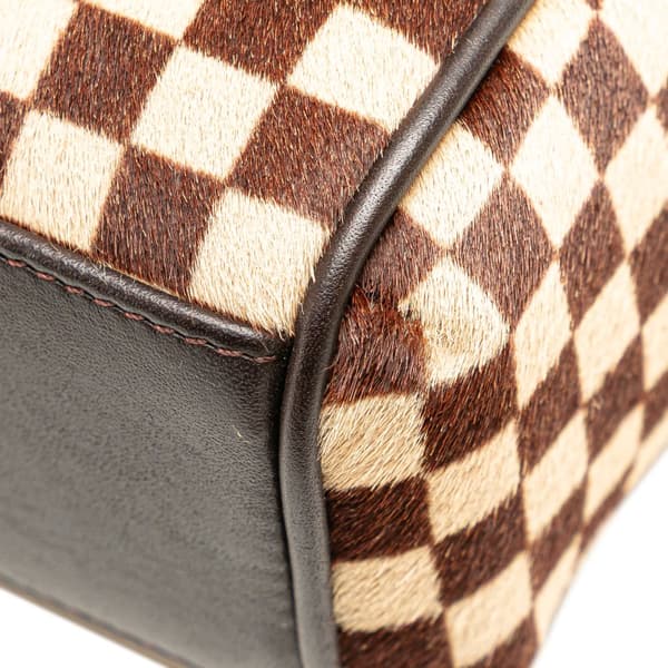 Pre-owned Louis Vuitton Damier Sauvage Lionne Brown