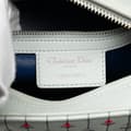 Miniatyrbild 5 av 10: Pre-owned Dior Medium Calfskin Embroidered Flower Lady Dior White