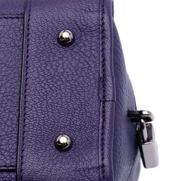 Pre-owned LOEWE Soft Grained Calfskin Amazona 28 Purple