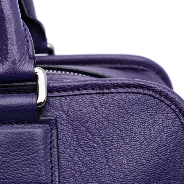 Pre-owned LOEWE Soft Grained Calfskin Amazona 28 Purple