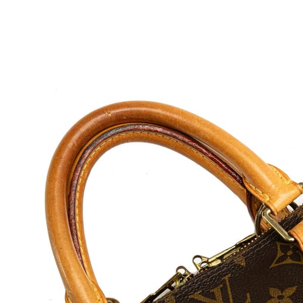 Pre-owned Louis Vuitton Monogram Alma PM Brown