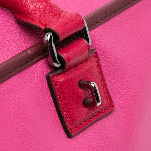 Pre-owned LOEWE Tricolor Goatskin Amazona 36 Pink