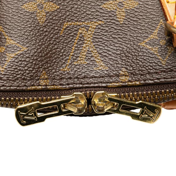 Pre-owned Louis Vuitton Monogram Alma PM Brown