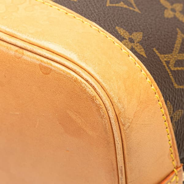Pre-owned Louis Vuitton Monogram Alma PM Brown