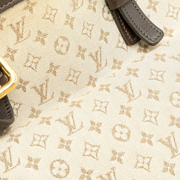 Pre-owned Louis Vuitton Monogram Mini Lin Francoise Brown