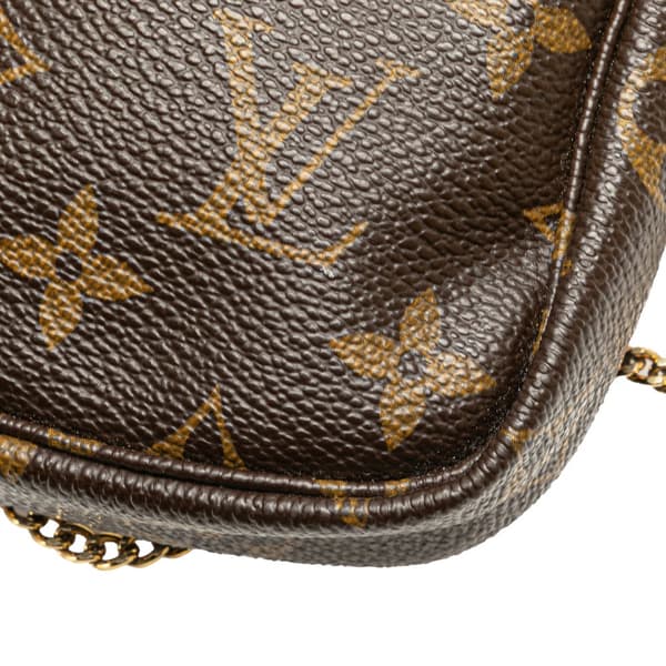 Pre-owned Louis Vuitton Monogram Mini Pochette Accessoires Brown