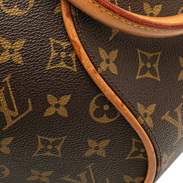 Pre-owned Louis Vuitton Monogram Ellipse PM Brown