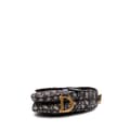 Miniatyrbillede 3 af 10: Pre-owned Dior Mini Oblique Canvas Saddle Bag Blue