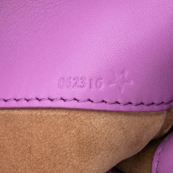 Pre-owned LOEWE Shiny Calfskin Paseo Satchel Purple