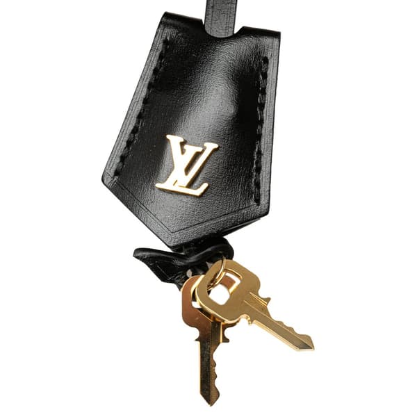 Pre-owned Louis Vuitton Monogram Reverse Vanity PM Brown